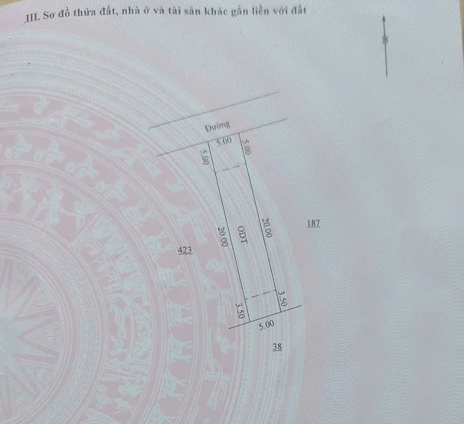 1786525908503_5366712090140428431_5366712090140428431_10649f135e6b81a49aec49ab37de1957