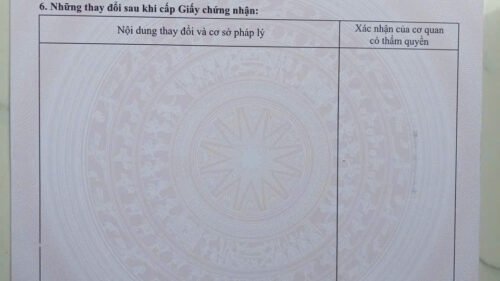 [Pleiku] ĐẤT MẶT TIỀN BÙI VIỆN 120M2 SÀN ĐANG HOÀN THIỆN