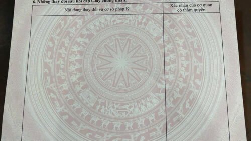[Pleiku] ĐẤT MT LÊ ĐỨC THỌ ĐƯỜNG ĐÔI 30M – GẦN KHU BIỆT THỰ PHƯỢNG HOÀNG